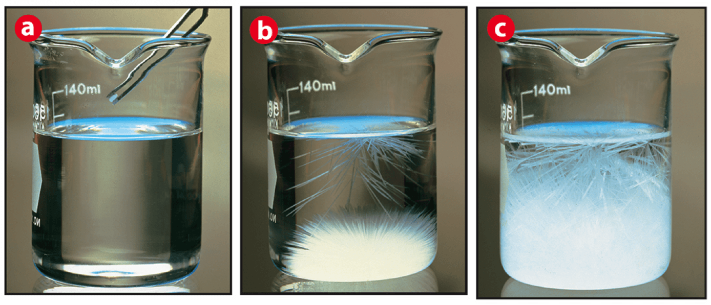 <p>which is unsaturated, saturated, and supersaturated</p>