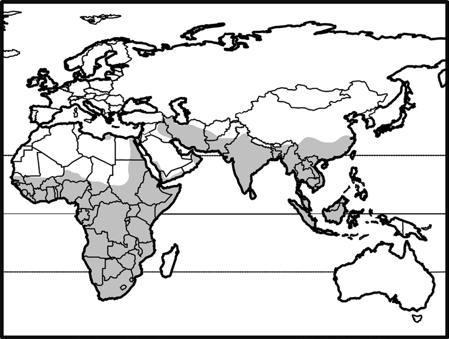 throughout africa, middle east, arabian peninsula, southeast asia and indonesia