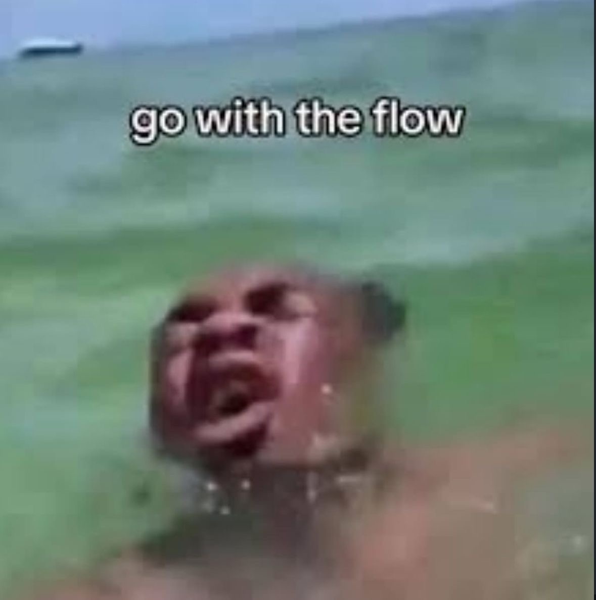 <p><span><span>to move or be shaped like waves</span></span></p><p><span><span>Ex: Onlookers were mesmerized by the beautiful rows of lavender </span><strong><em><span>undulating</span></em></strong><span> across the&nbsp;field.</span></span></p>