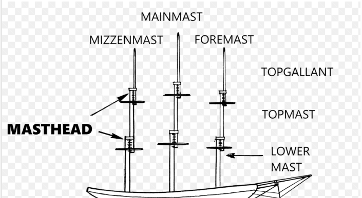 <p>mast</p>