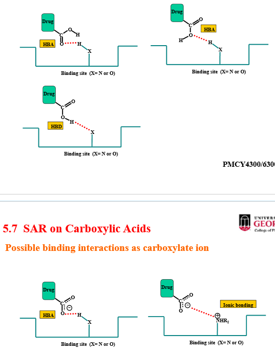 <p>through carbonyl oxygen:</p><ul><li><p>hydrogen bond donor</p></li><li><p>hydrogen bond acceptor</p></li></ul><p>through hydroxy oxygen (with hydrogen):</p><ul><li><p>weak hydrogen bond acceptor</p></li><li><p>hydrogen bond acceptor</p></li></ul><p>through ionized hydroxy oxygen (without oxygen):</p><ul><li><p>ionic interaction (anion)</p></li><li><p>strong hydrogen bond acceptor</p></li></ul>