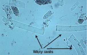 <p>What is this?</p>