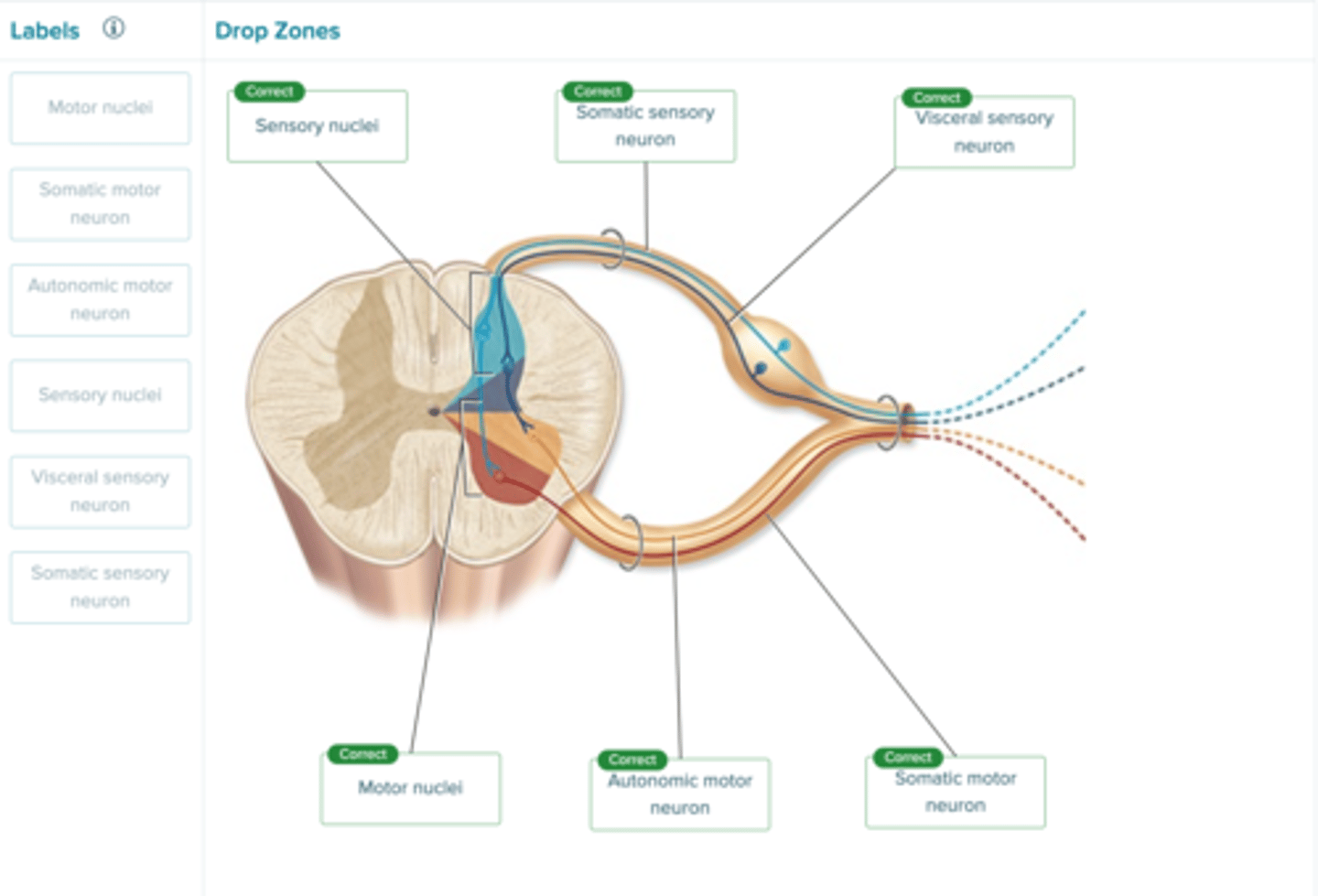 knowt flashcard image