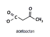 <p>acetooctan</p>