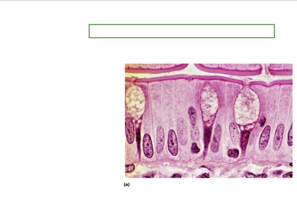 <p>what type is this?</p>