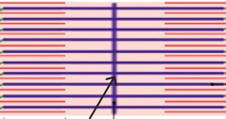 <p>Which part of the A-band is:</p><ul><li><p>The center of the A-band, thick filament</p></li></ul><p></p>