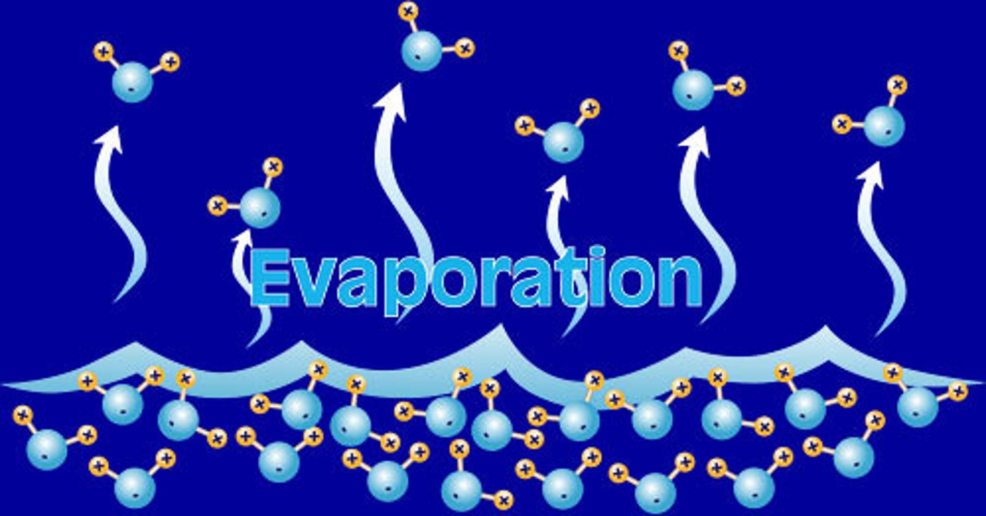 <p>evaporation</p>