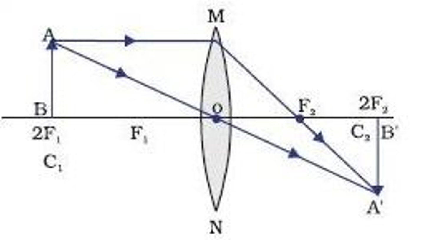 <p>L - on 2F<br>O - Inverted<br>S - Same size<br>T - Real</p>