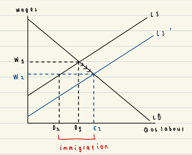 <p>(If we assume that native destination workers and immigrants are <strong>perfect substitutes</strong> and that <strong>capital is fixed</strong> ...)</p><ul><li><p>Destination wages fall from W1 to W2</p></li><li><p>Destination-born employment falls from D1 to D2</p></li></ul>