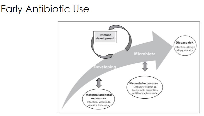 <p>-The first clue that the microbiome was critical to host immunity was gleaned from an observation made over 50 years ago. At that time it was noted that following antibiotic treatment, people had a much higher risk of GI tract infection by members of the Enterobacteraceae, such as E. coli or Salmonella enterica. It was rightly assumed that antibiotics disrupted the gut microbial community, and this phenomenon was explained by colonization resistance. Colonization resistance is based on the ecological principle of competitive exclusion. In this case, it was assumed that the commensal bacteria in the healthy colon outcompete pathogens for nutrients and space. Although this is true, like every other aspect of the microbiome, colonization resistance has turned out to be much more complex, involving not just direct microbiome-pathogen interactions, but indirect microbiome-host-pathogen interactions as well. While the initial observations that led to an appreciation of colonization resistance were based on antibiotic therapy in people, sophisticated experiments using GF mice have been essential in advancing our understanding. Among the early results that signaled the importance of the microbiome were observations that the intestinal cellular architecture of GF mice differed from conventional mice. Specifically, the fingerlike projections (villi) that line the intestine were found to be longer, while the gulfs, or crypts, between villi were less developed in GF mice. To explore this change in morphology, scientists measured levels of antimicrobial peptides (AMPs) normally secreted by host Paneth cells located in the crypts. They discovered GF mice produced very low levels of AMPs, suggesting AMP production requires bacteria in the gut. This result was notable because it suggested that the host had to detect, rather than ignore, gut microbes.</p>
