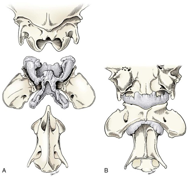 <p>What Type of Joint?</p>