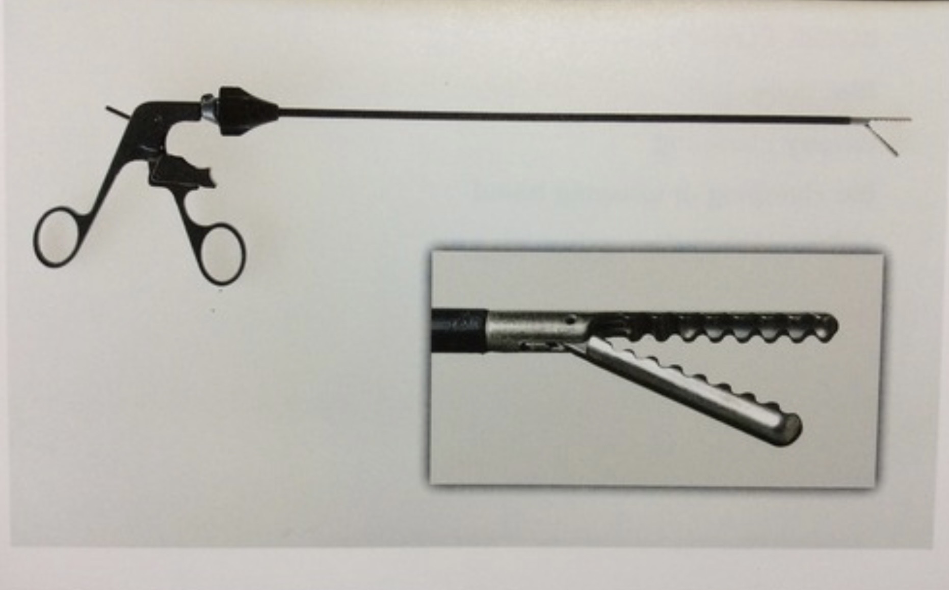 <p>Davis and Geck Grasper</p>