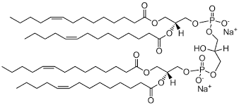 <p>cardiolipin</p>