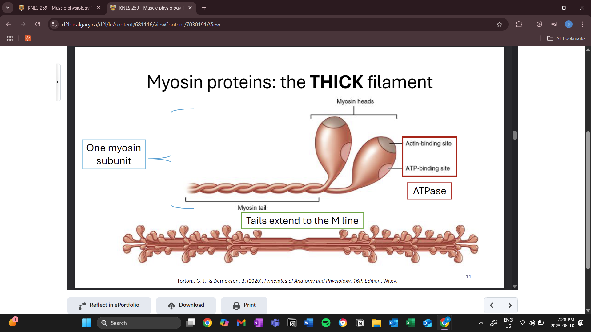 knowt flashcard image