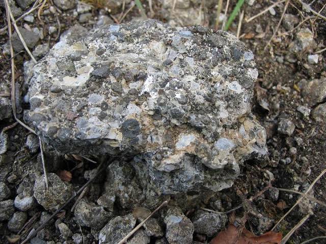 <p>Texture of igneous rocks made of rock fragments rather than crystals due to volcanic materials being extruded violently</p>