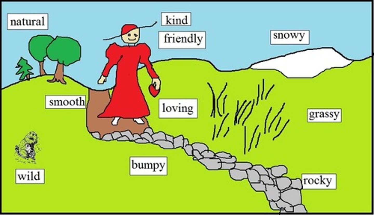 <p>a word used to modify or describe a noun or pronoun, such as "happy," "sad," or "pretty."</p><p>The school had musty crusty walls. Musty= the smell of the walls and crusty = the look and feel of the walls. Both have negative connotations</p>