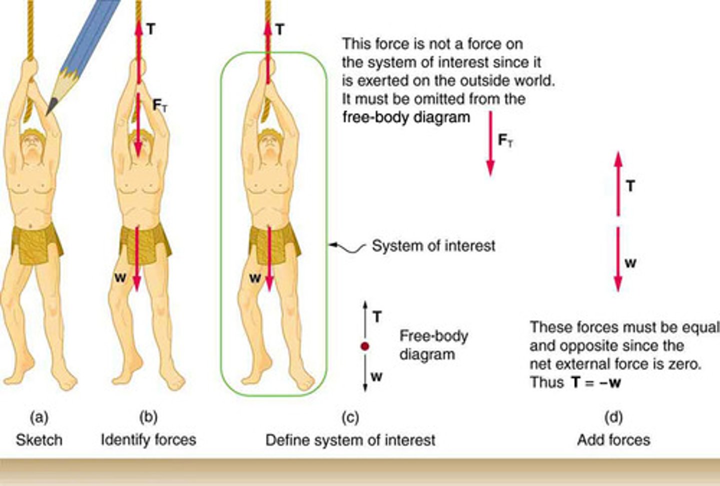 <p>The specific part of a physical scenario chosen for analysis, crucial for identifying external forces in Newton's second law applications.</p>