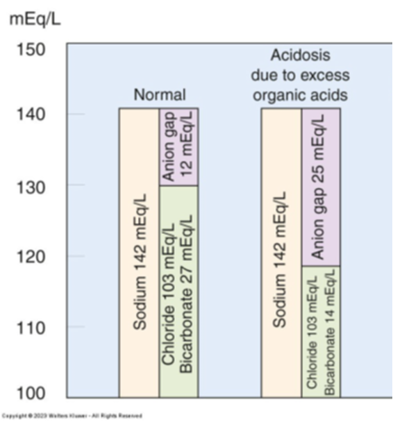 <p>8 - 12 mEq/L</p>