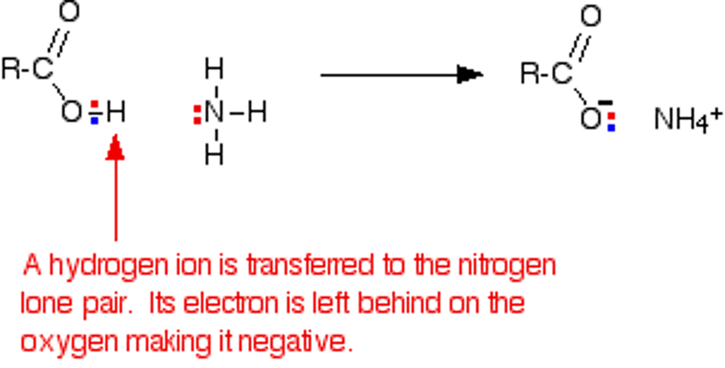 <p>(D) Carboxylate</p><p>Ammonia will act as a base and steal the proton from the Carboxylic Acid. You might be able to force it into becoming an amide using heat, but this may not work.</p>