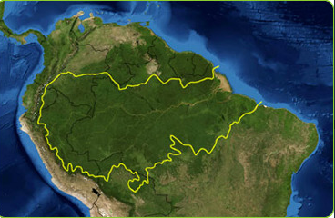 <p><span>The home of the world's largest tropical rainforests, runs along the the largest river in the world on the continent of South America.</span></p>