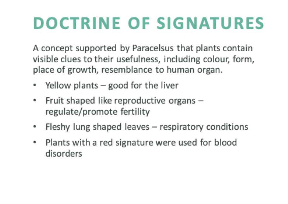 <p>The belief that plants contain visible clues to their usefulness, such as their color, form, or resemblance to human organs.</p>