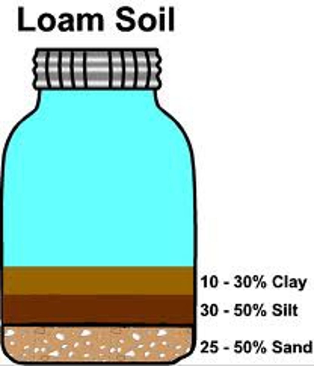 <p>-about equal mixtures of clay, sand, silt, and humus</p><p>-rich in nutrients</p><p>-holds water but does not become waterlogged</p>