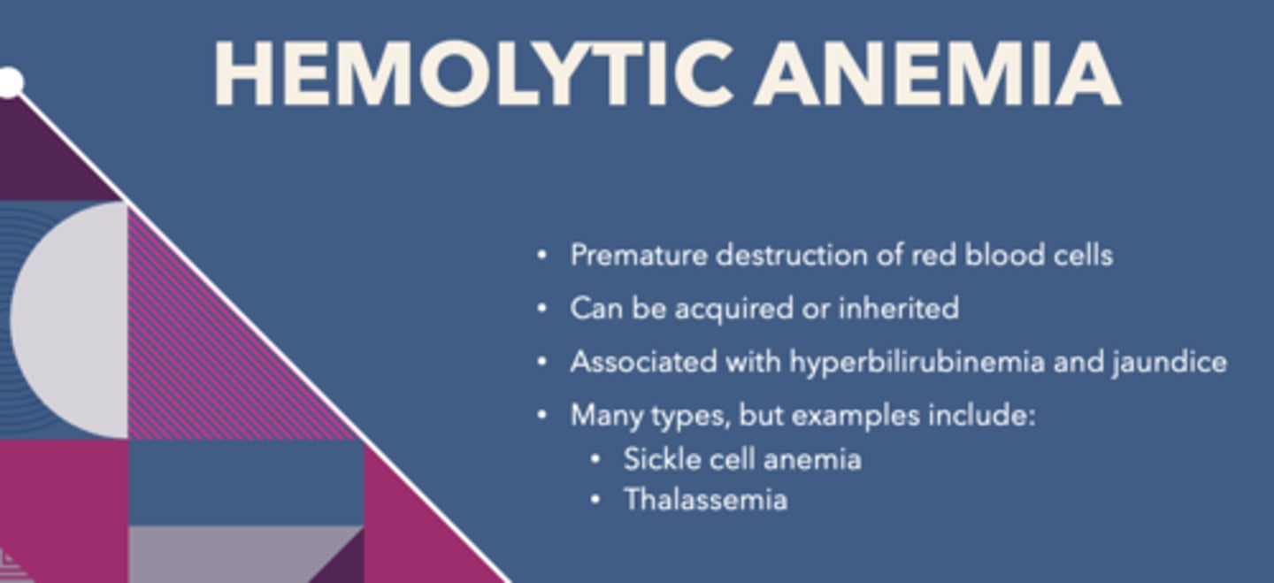 <p>hemolytic anemia</p>