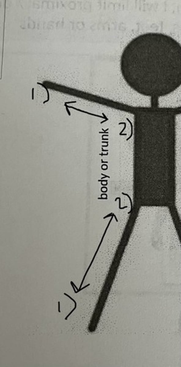 <p>What does #1 represent? (think of farther away from body)</p>