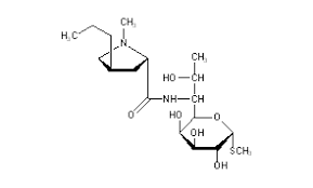 <p>What is this </p>