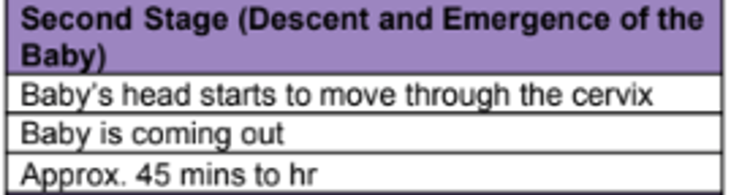 <p>2. Second stage, typically lasts up to an hour or two, contractions become stronger and closer together. The baby's head begins to move through the cervix into the vaginal canal, ends when the baby emerges completely from the mother's body.</p>