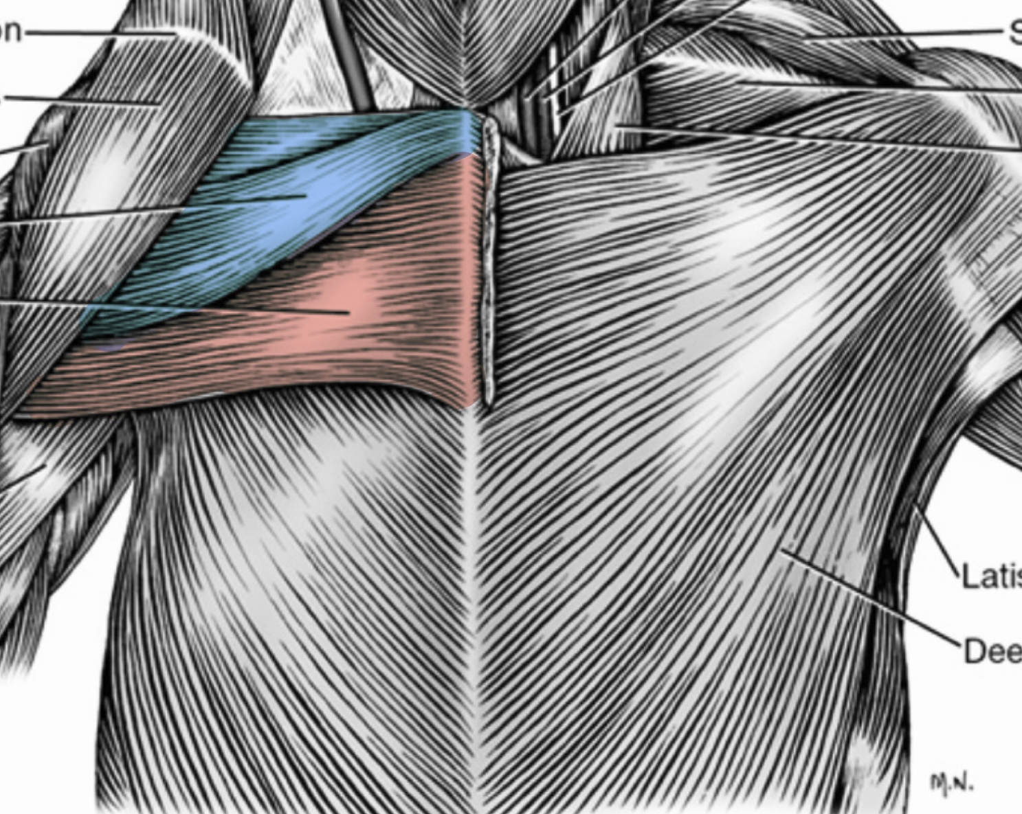 <p>What is highlighted in red</p>