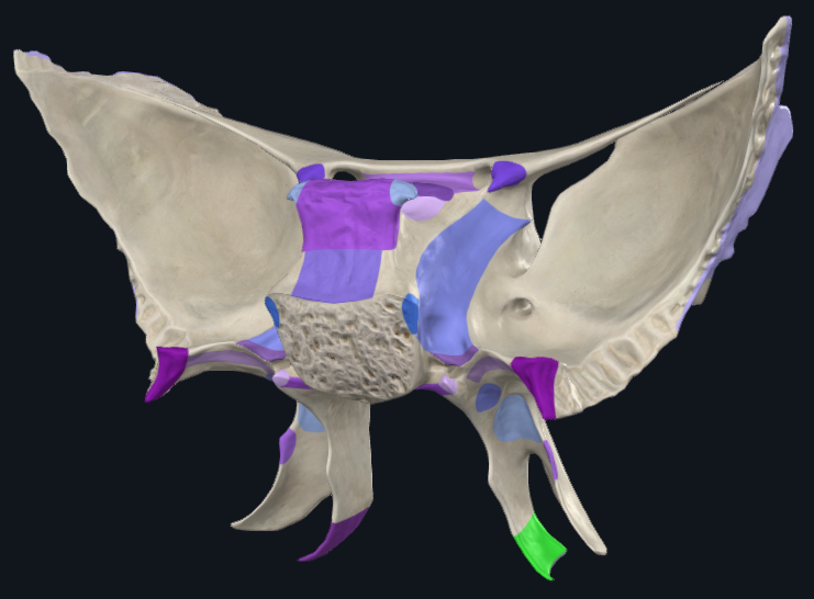 term image