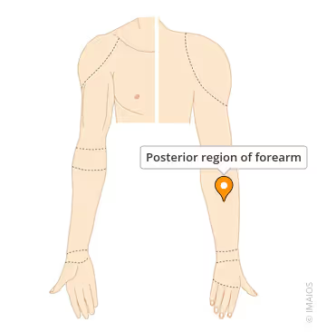 <p>what is the anatomical name for this part?</p>