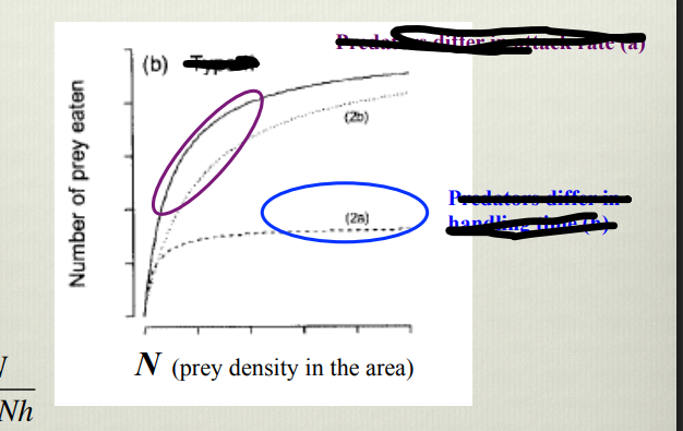 <p>What does this graph show</p>