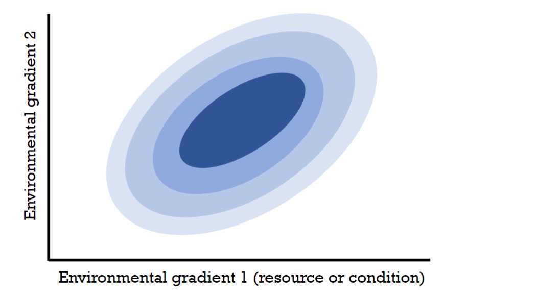 <ul><li><p>Stated that a niche is an “n dimensional hypervolume” with the x and y axis being ecological factors that influence the survivability of a species.</p></li><li><p>Example: For the Macaw, one axis would be annual temperature and the other axis would be precipitation.</p></li></ul>