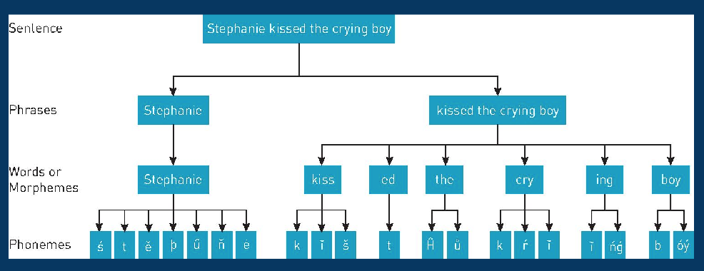 <p>the basic sounds of speech, the building blocks of language</p><ul><li><p>produced through a complex coordination of the vocal cords, lungs, lips, tongue, and even teeth</p></li><li><p>ex. english has about 40-45</p></li><li><p>ex. unaspirated /p/ and aspirated /p^h/ are the same phoneme</p></li><li><p>ex. in thai and hindi, park vs. apple are different phenomes</p></li></ul><p></p>