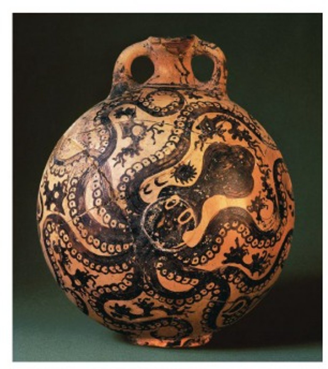 knowt flashcard image