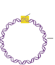 <p>What is the yellow spot?</p>