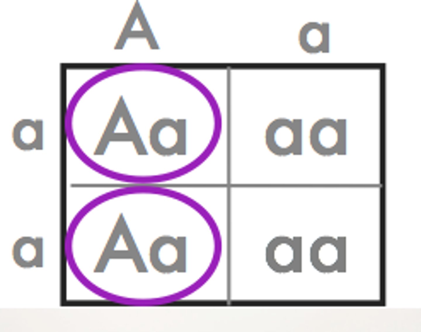 <p>inheritance pattern of a dominant allele on an autosome</p>