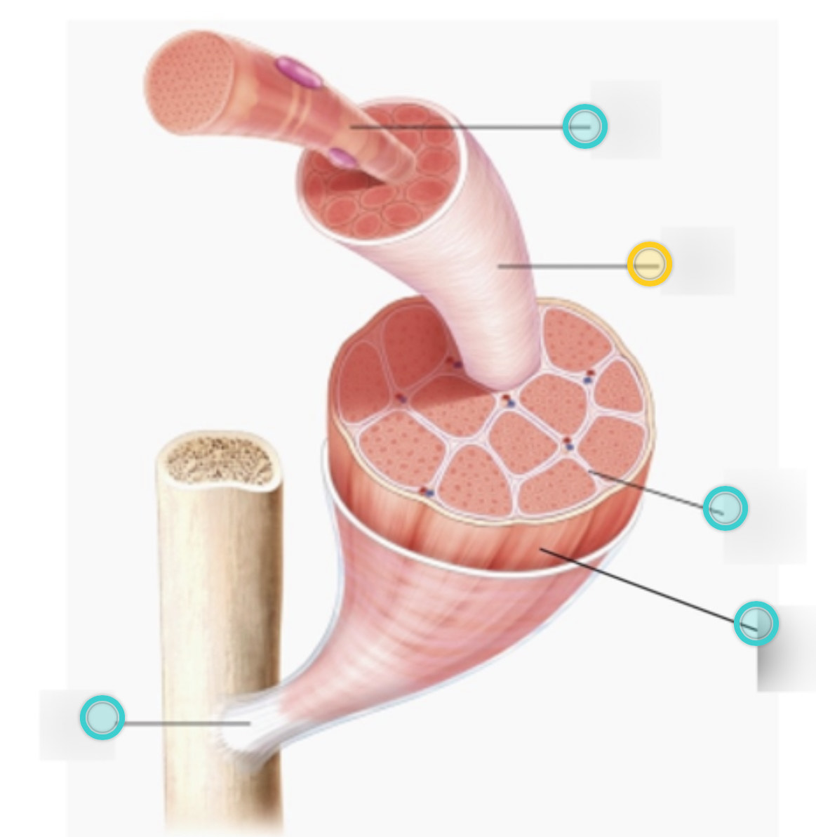 <p>what is this on the diagram?</p>