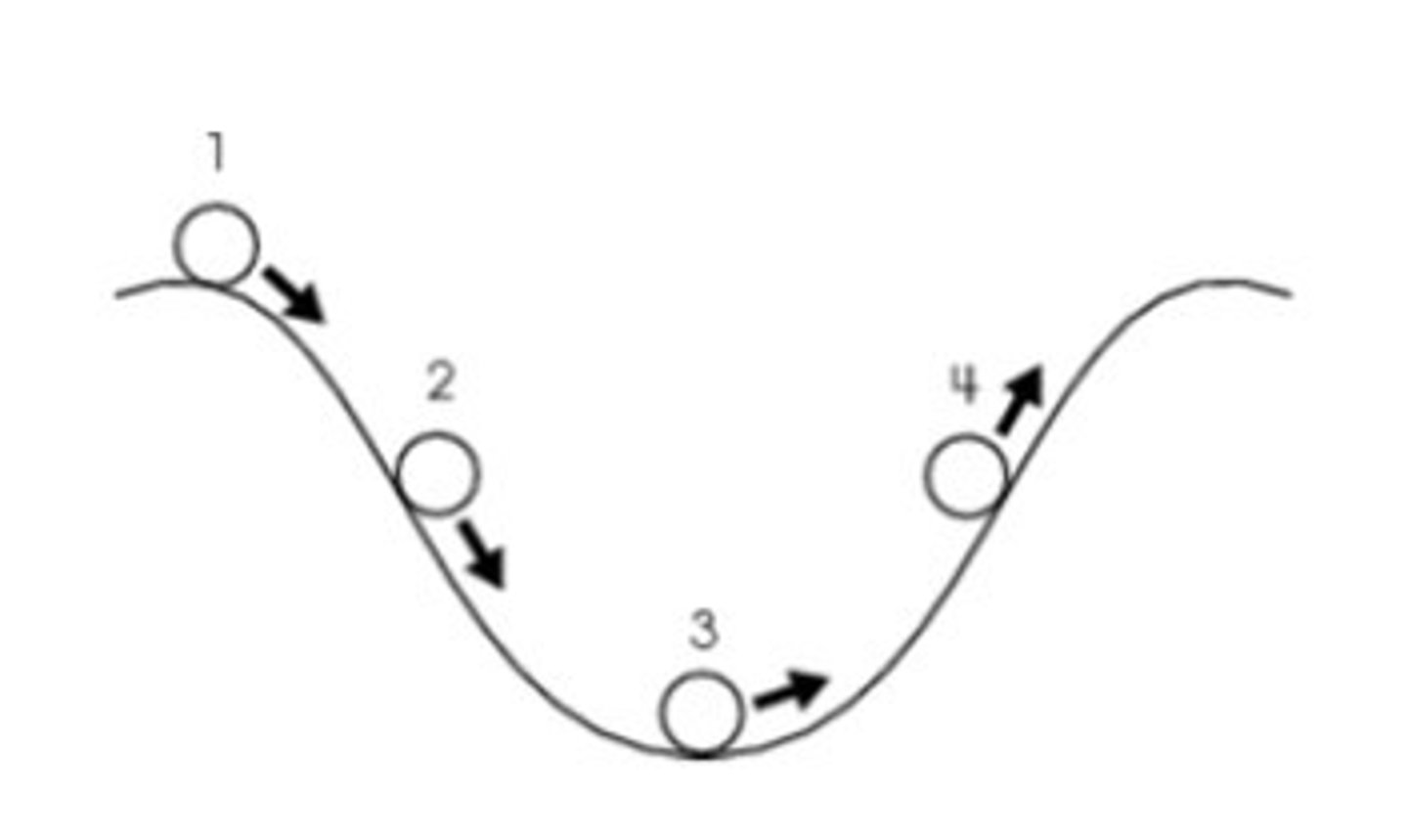 <p>1; highest point</p>