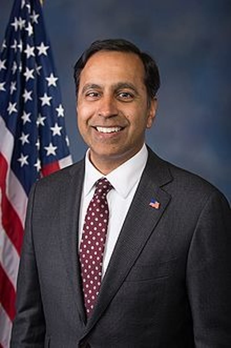 <p>Raja Krishnamoorthi (IL-08)</p>