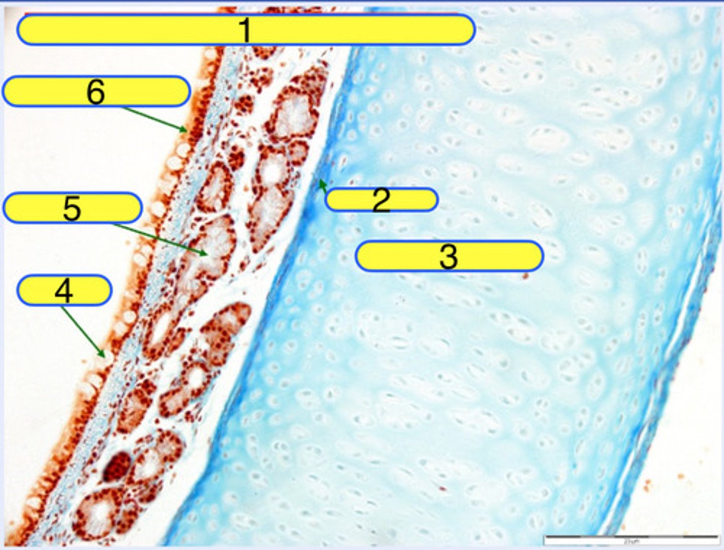 <p>2</p>