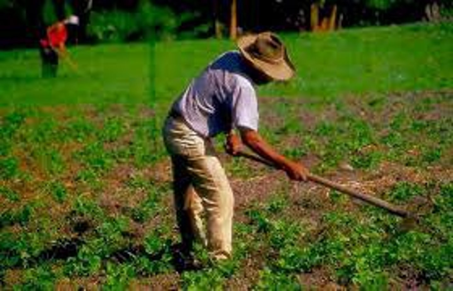 <p>la gente que vive en el campo y no en la ciudad</p>