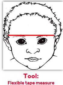 <ul><li><p>taken at eyebrow level </p></li><li><p>head in neutral position </p></li><li><p>horizontal to floor </p></li></ul><p></p>