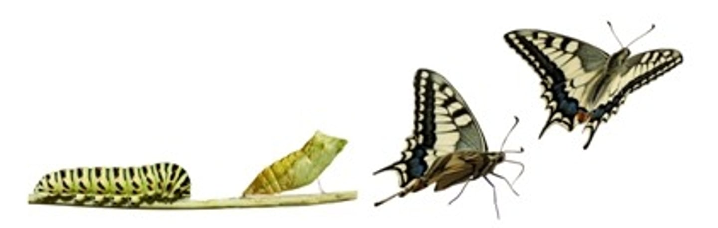<p>change</p>