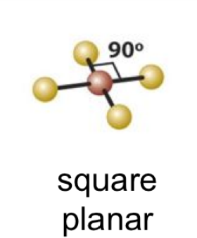 square planar