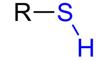 <ul><li><p>Thiol</p></li><li><p>Two sulfhydryl groups can form a cross-link, stabilizing protein structures</p></li><li><p>Polar</p></li></ul><p></p>