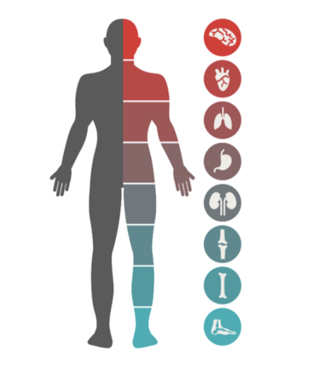 <p>What is a Disease? </p>