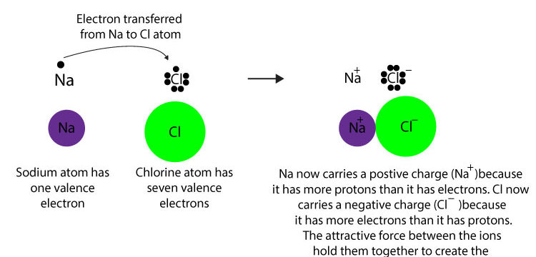 <p>ionic </p><ul><li><p>usually formed between an element with a low ionization energy and an element with a high electron affinity </p></li></ul><p></p>